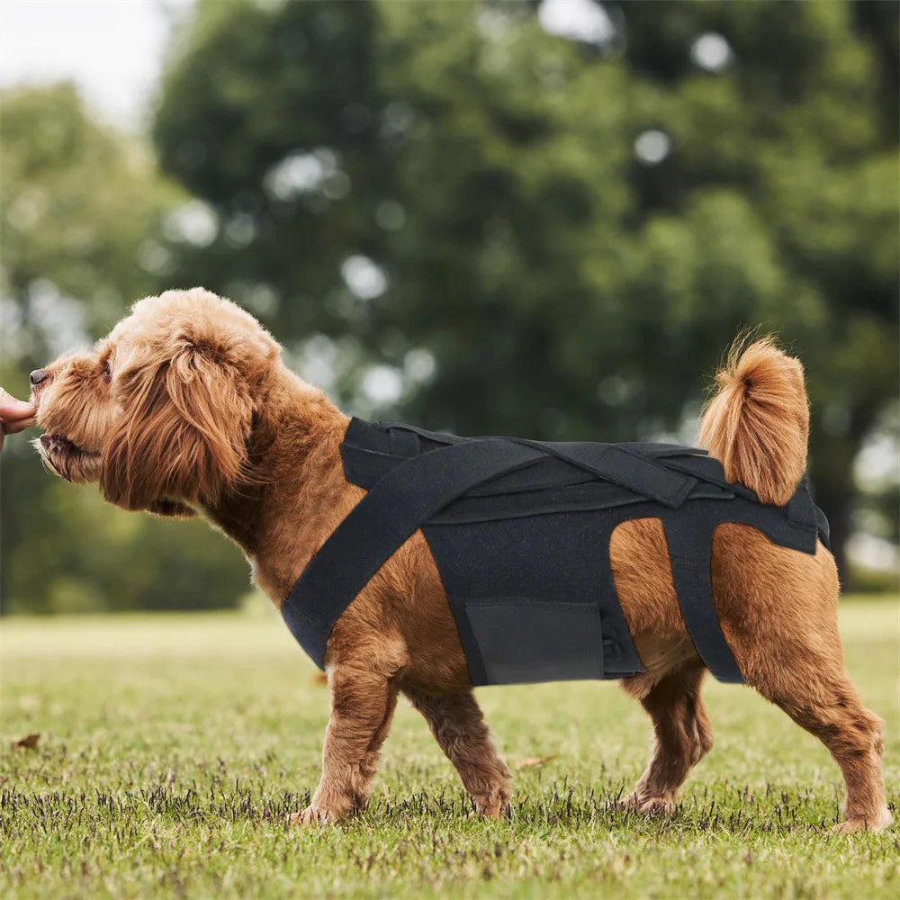 Pet Front Carrier Backpacks Ajustable Hands Free Dog Backpack For Small Mediun Dogs Breathable Cats Outdoor Travel Carrier Bags