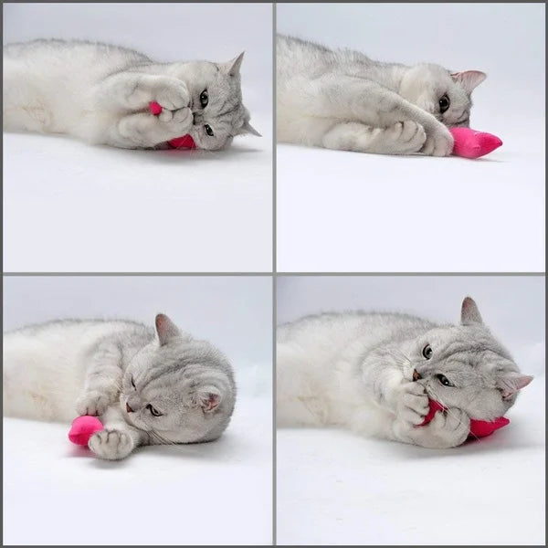 Pet cat toys(5 Colors)