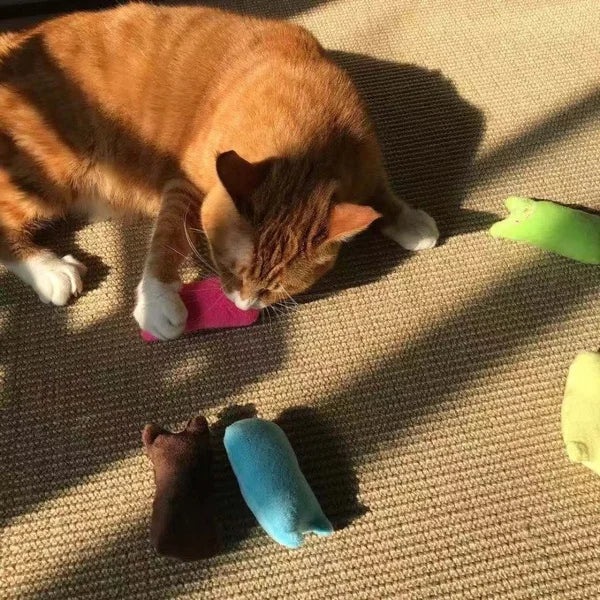 Pet cat toys(5 Colors)