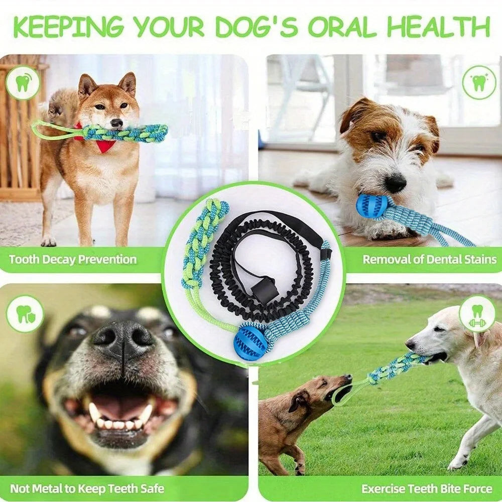 3Pcs Pet Dog Toys for Large Small Dogs Toy Interactive Cotton Rope and Ball Dogs Teeth Cleaning Chew Toy Pet Accessories